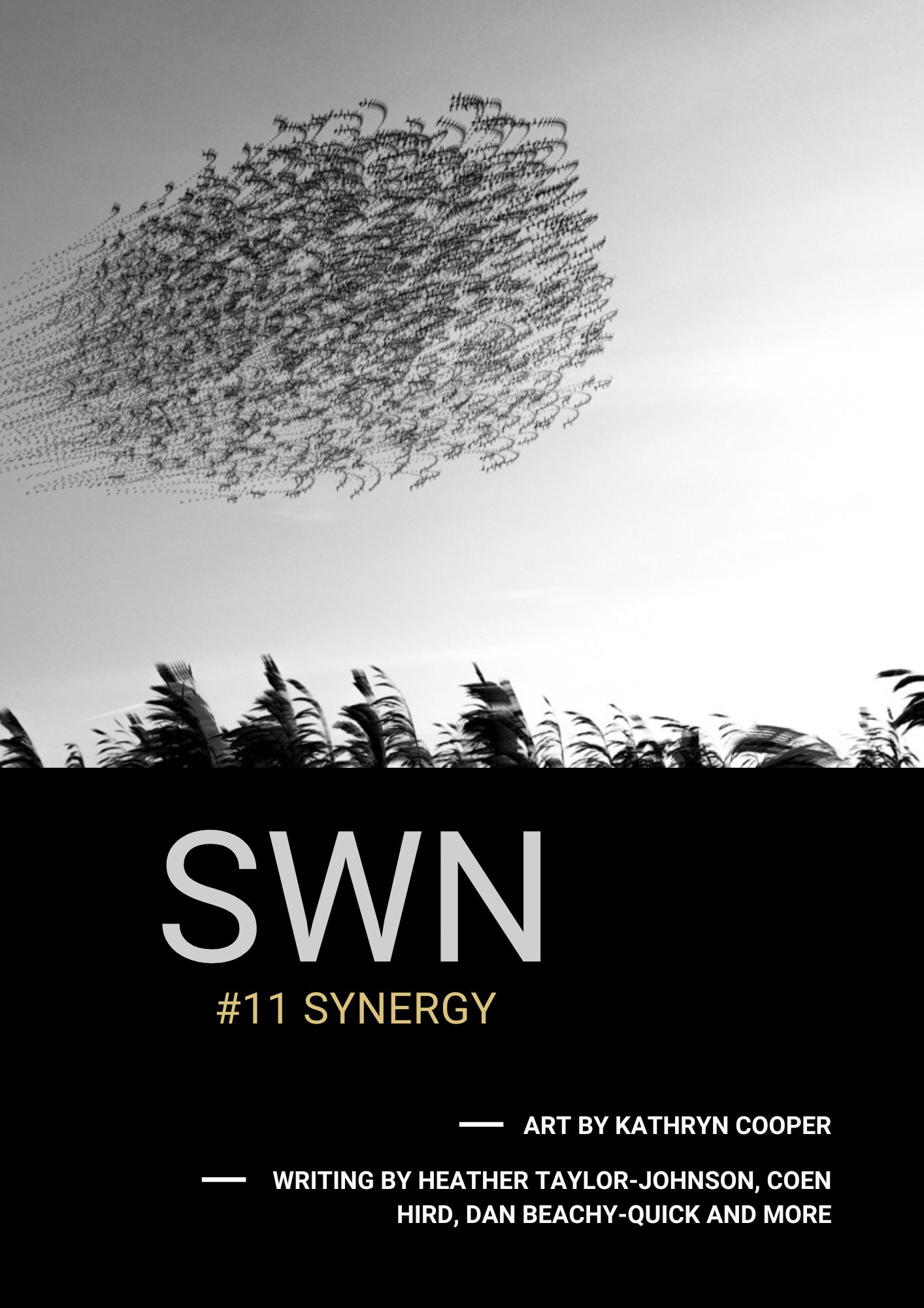 A black and white photo graphic that shows a large flock of birds in the sky above a horizon of trees. White text that says SWN #11 synergy.