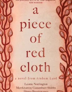 a piece of red cloth