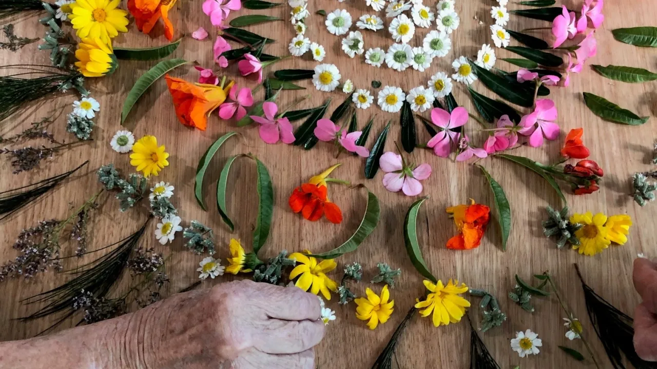 Patient collaborating with artist Bec Stevens during Inscape Tasmania’s artist-in-residence program at the Roy Fagan Centre, a specialised facility supporting older adults with mental illness and dementia. Photo by Bec Stevens. A hand arranges colourful flowers and leaves into a spiral pattern on a wooden surface.
