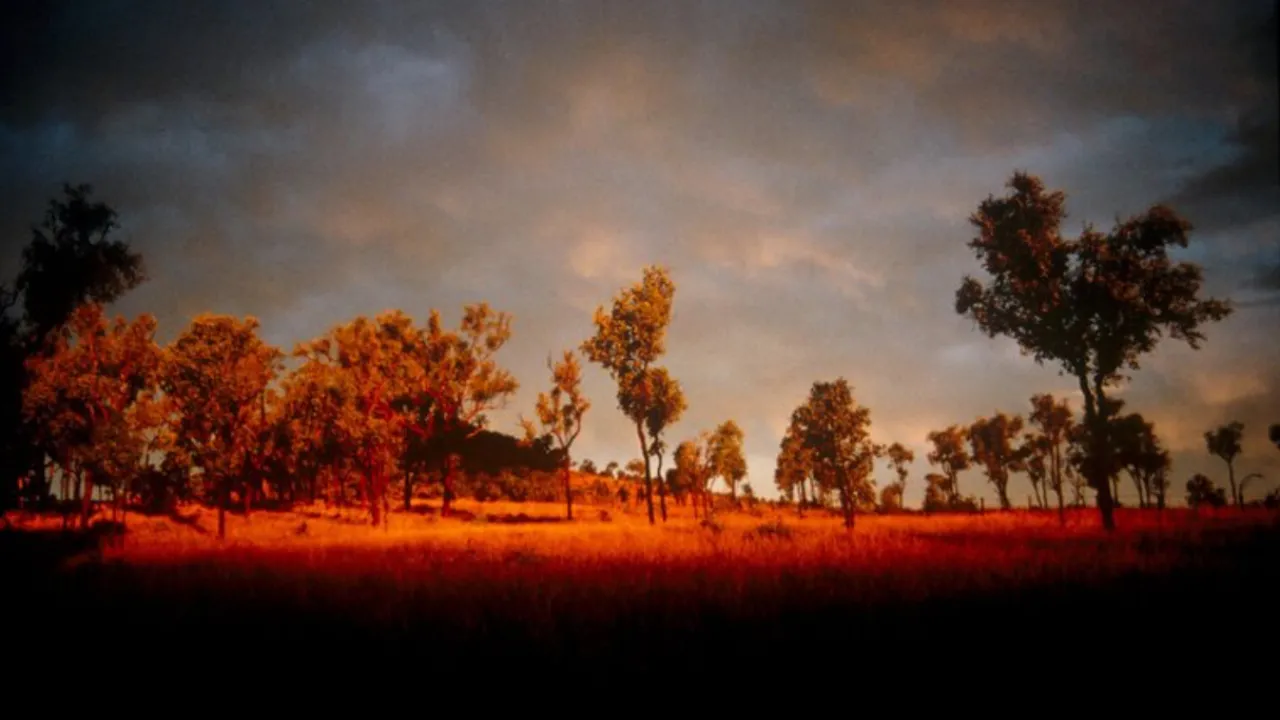 Vivid orange tree top hillside and robust cloudy skies with dark foreground