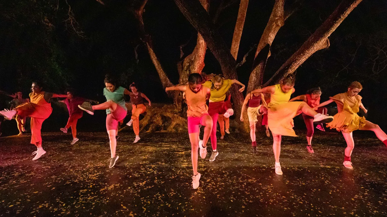 Young Dancers in bright costumes lift their legs in front of an up lit tree