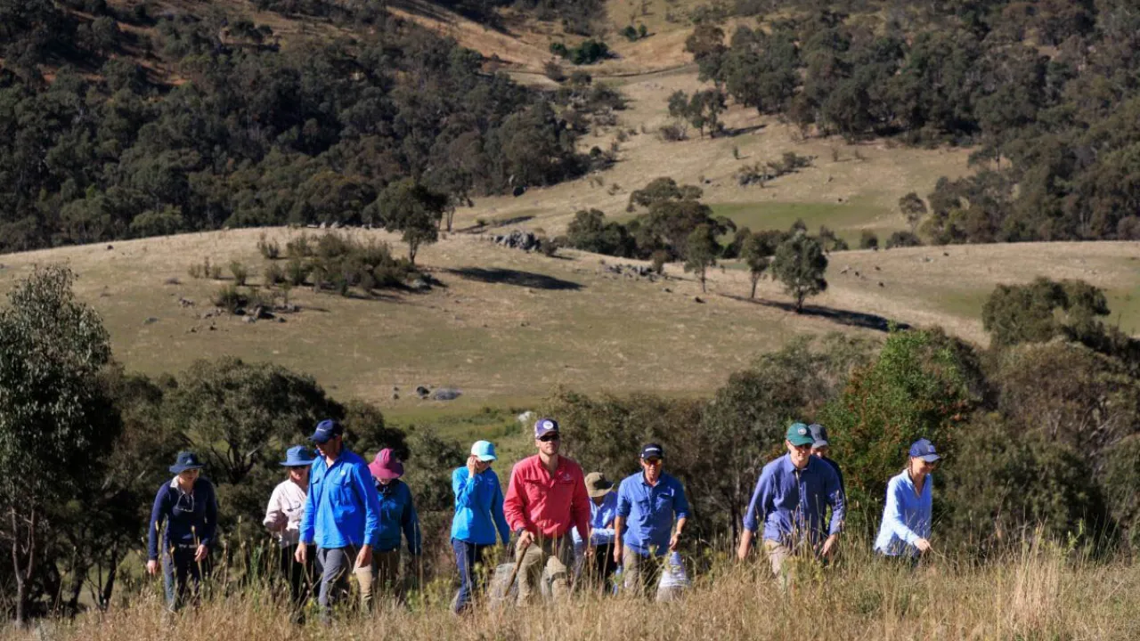 A group of people walking on a hill in the bush