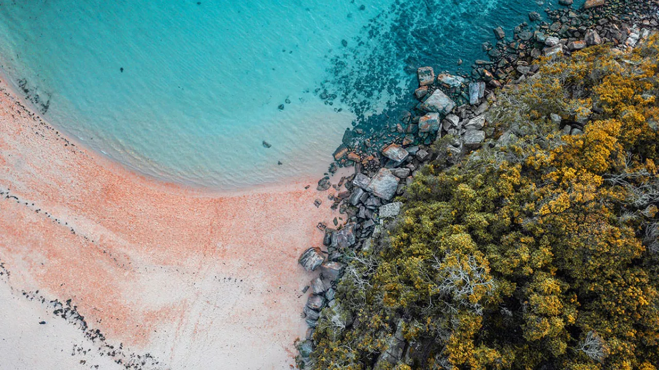 Aerial shot of a bay and beach