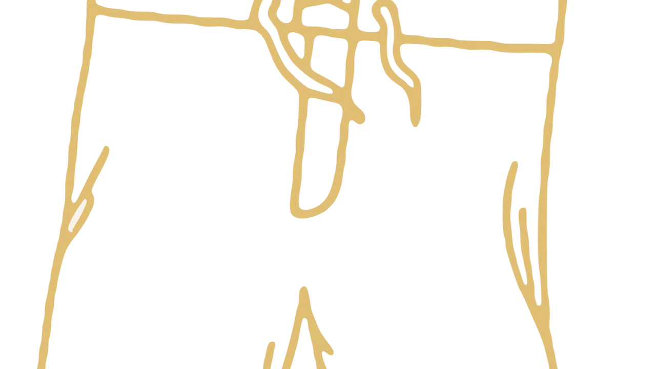 a gold line drawing of a pair of shorts, the logo for the 'A Pair of Shorts' project