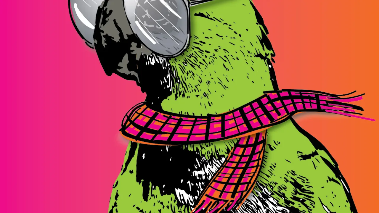 a cartoon style image of a colourful green punk galah with yellow hair, sunglasses and a pink checkered scarf.