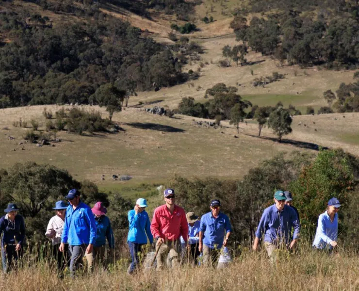 A group of people walking on a hill in the bush