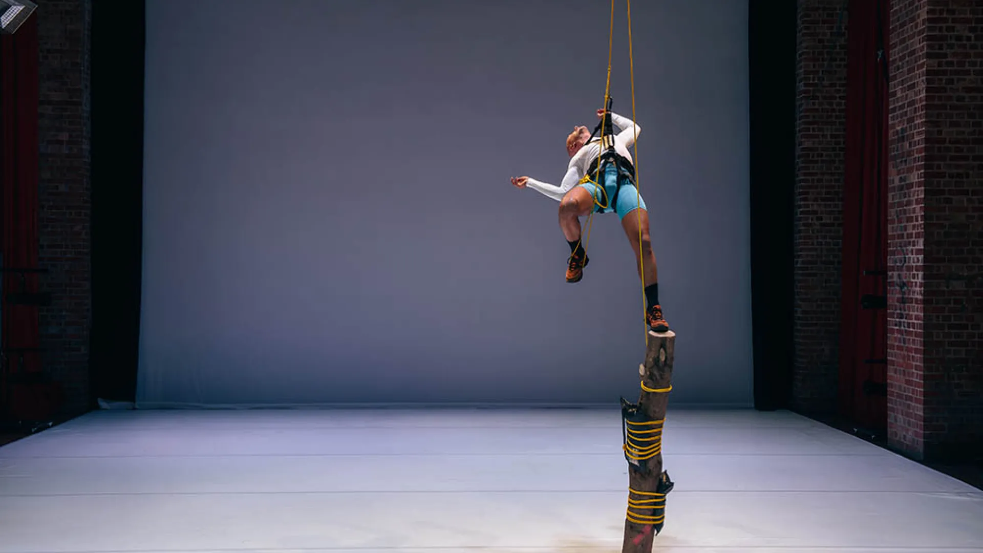 Dancer hanging from roof by rappel ropes with one foot on tree trunk